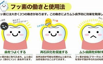 フッ素とブラッシング