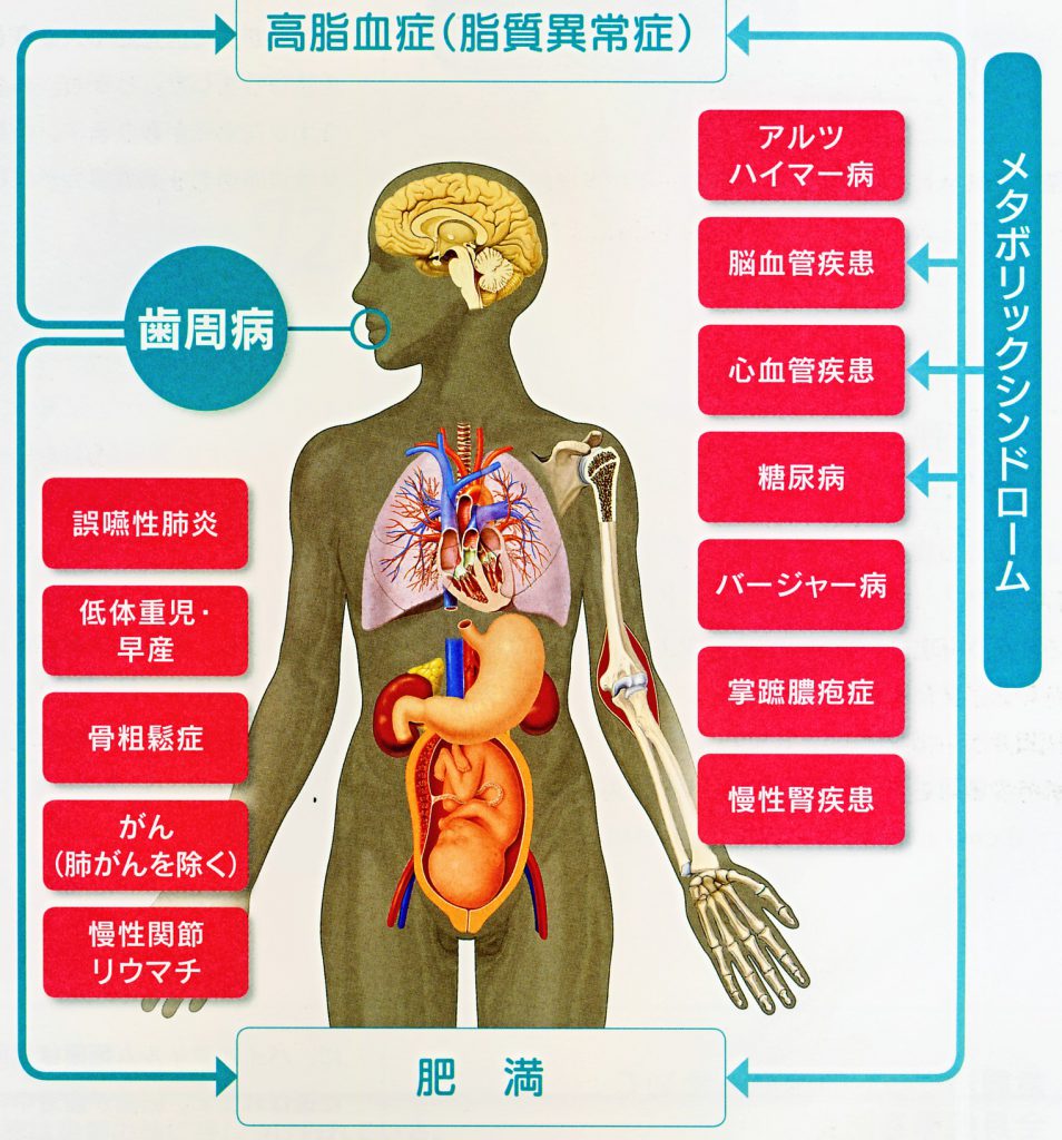 患者さんのエイジングに備える高齢者への歯周治療と口腔管理 スクリーンショット-2025-03-09-